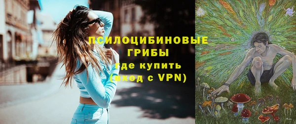 дурь Алексеевка